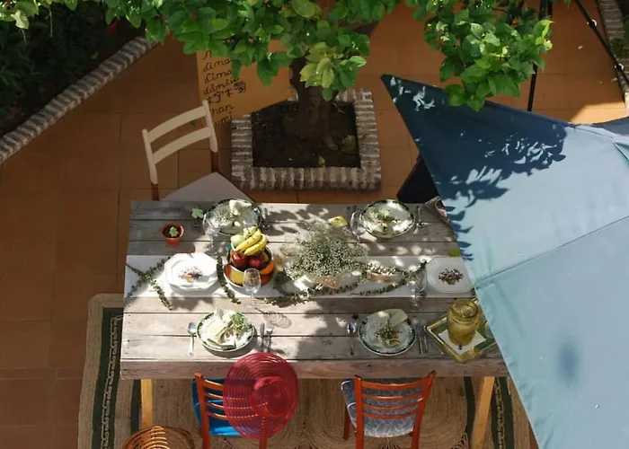 El Patio Del Limonero