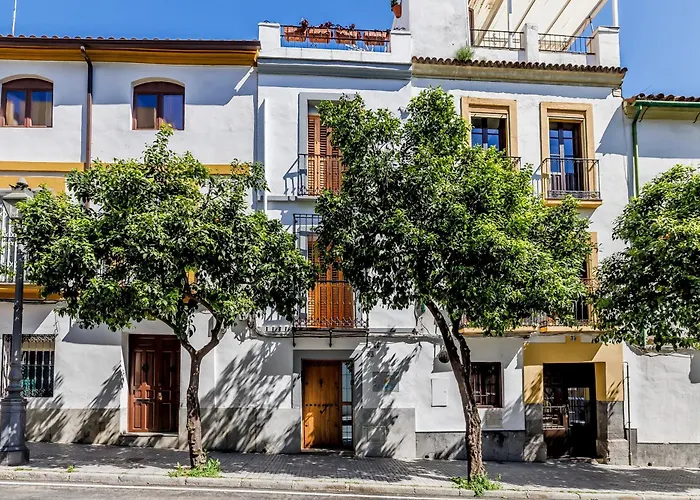 Casa Los Naranjos - Terraza En El Casco Historico