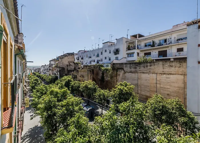 Casa Los Naranjos - Terraza En El Casco Historico